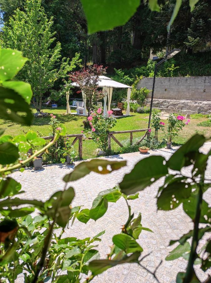 Guest House Caracas Лорика Екстериор снимка