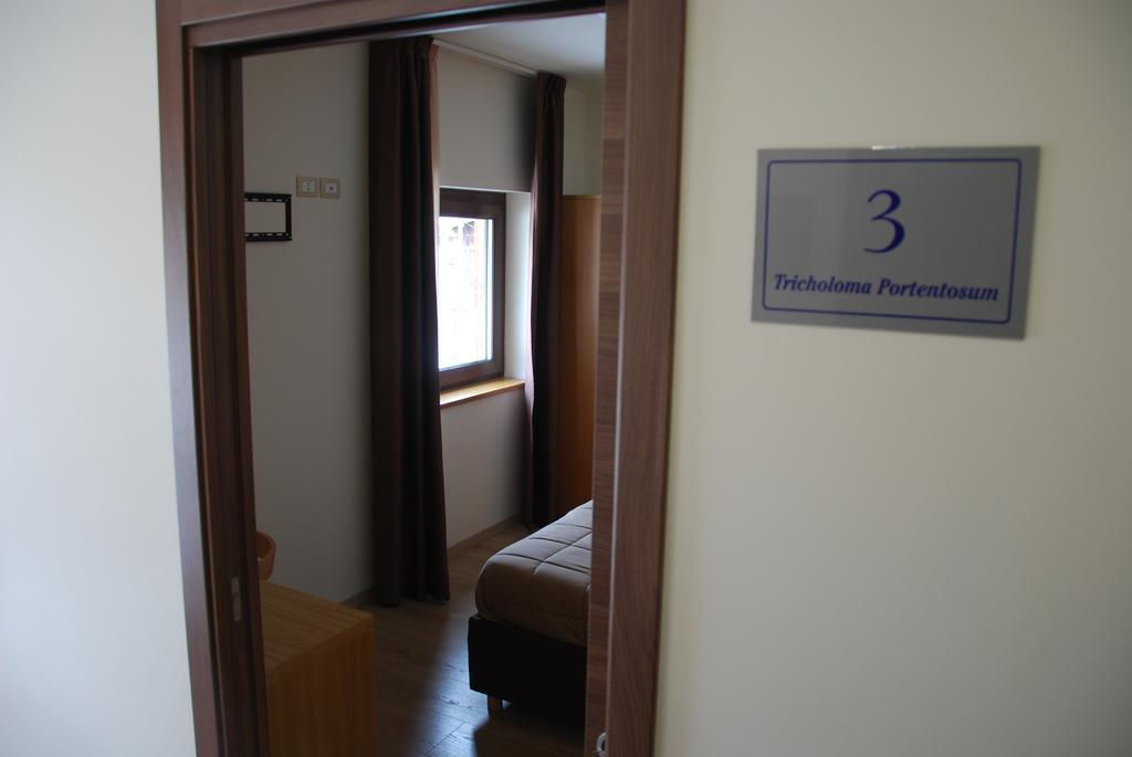 Guest House Caracas Лорика Екстериор снимка
