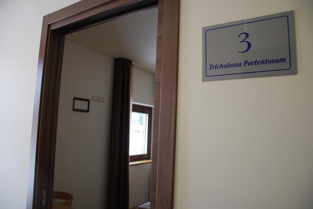 Guest House Caracas Лорика Екстериор снимка