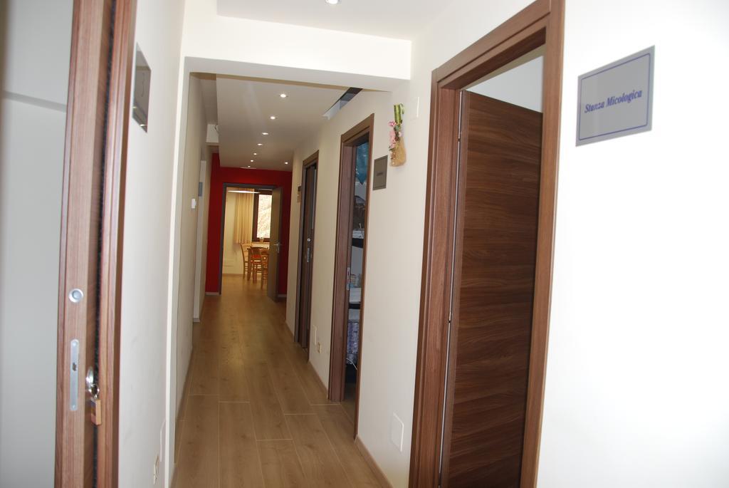 Guest House Caracas Лорика Екстериор снимка